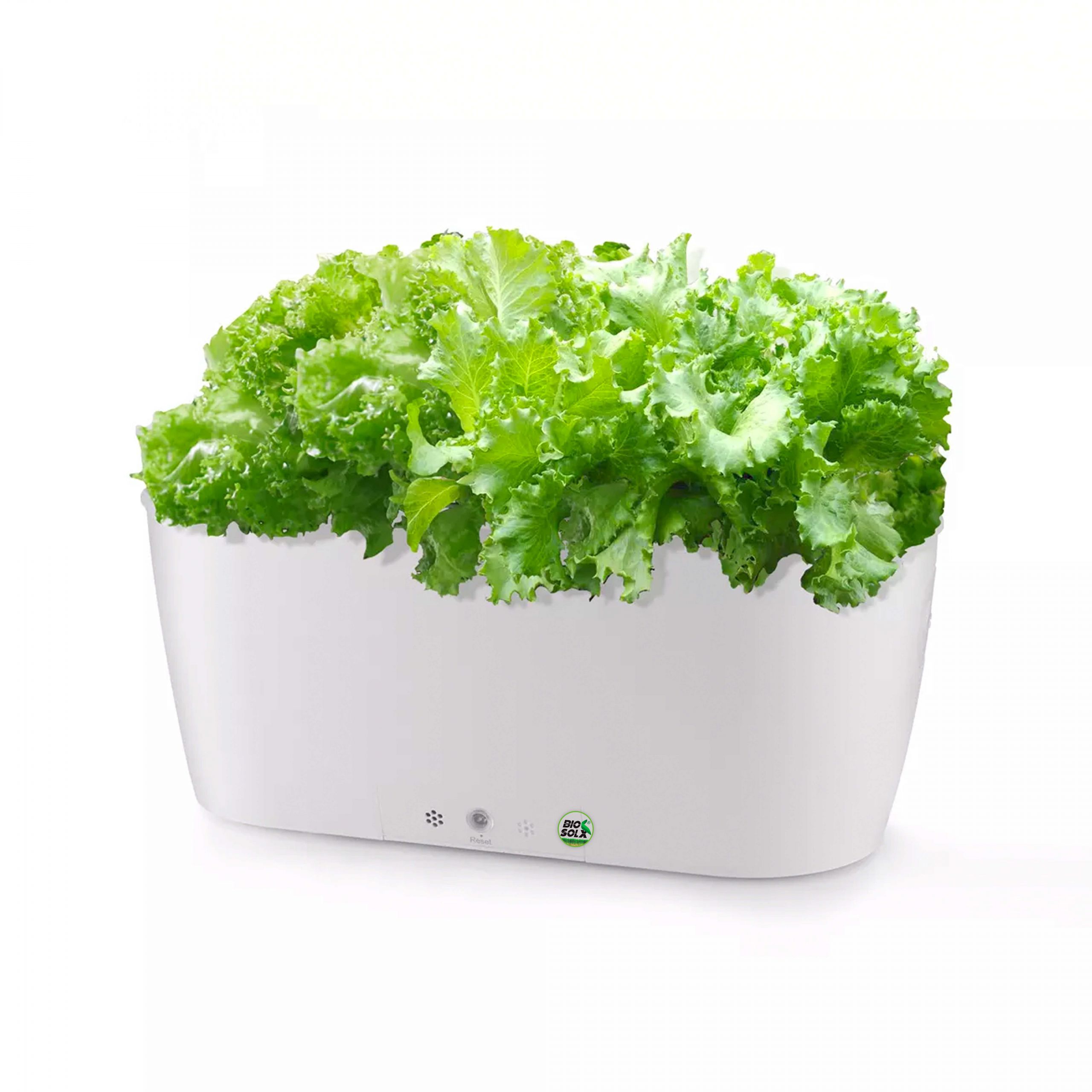 BIOSOLX-GREEN-SYSTEM-HOME-MINI-3 copia