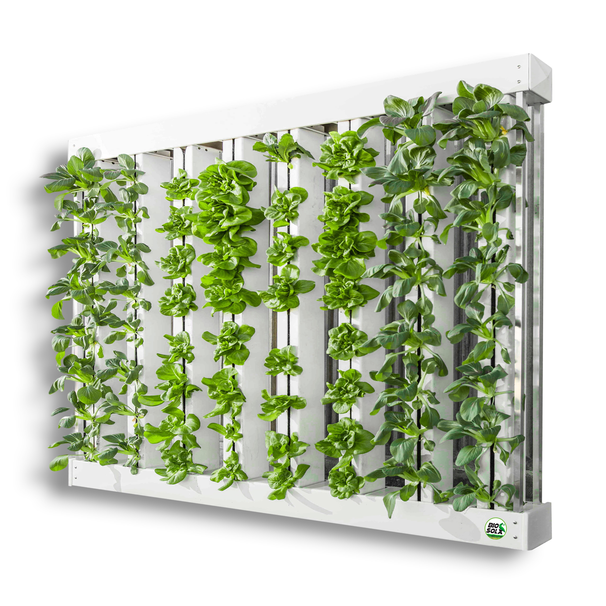 FARM-TAMD-BIOSOLX-DE-8-TORRES-